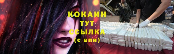 ALPHA PVP Богородицк