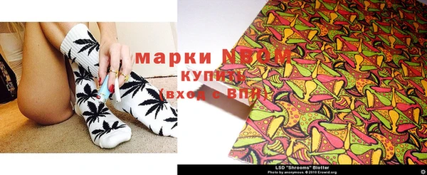 сатива Бугульма