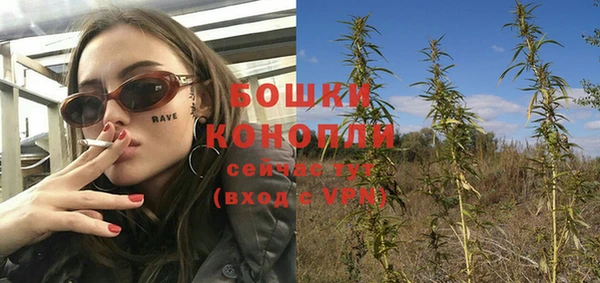 ГАЛЛЮЦИНОГЕННЫЕ ГРИБЫ Богородск