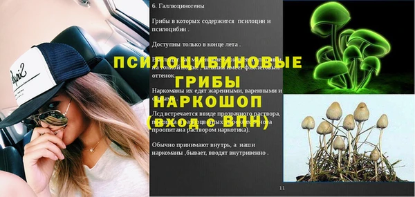 ГАЛЛЮЦИНОГЕННЫЕ ГРИБЫ Богородск