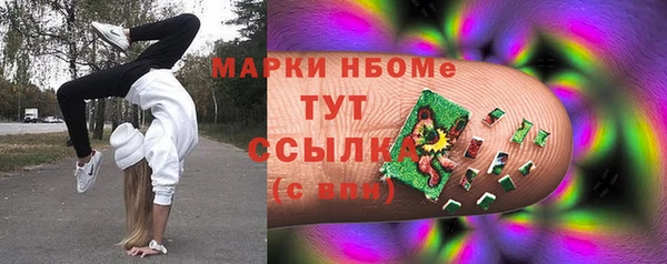 ALPHA PVP Богородицк