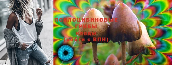 ГАЛЛЮЦИНОГЕННЫЕ ГРИБЫ Богородск